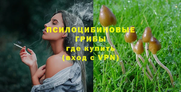мяу мяу мука Армянск
