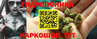 бошки Ставрополь