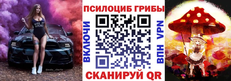 OMG маркетплейс  Чапаевск  Галлюциногенные грибы Psilocybine cubensis  закладка 