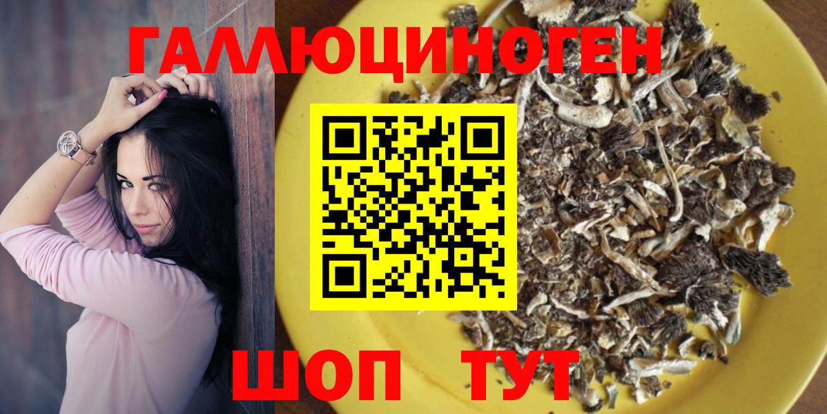 Галлюциногенные грибы Psilocybe Чапаевск